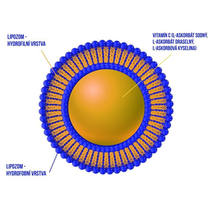 Liposomal Curcumin 150ml (Lipozomální kurkumin)