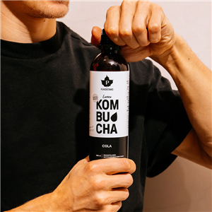 Kombucha BIO 400 ml cola