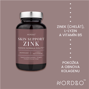 Zink Skin Support 90 kapslí